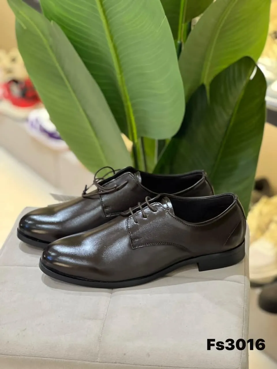 Derby in Dark Brown (FS3016)