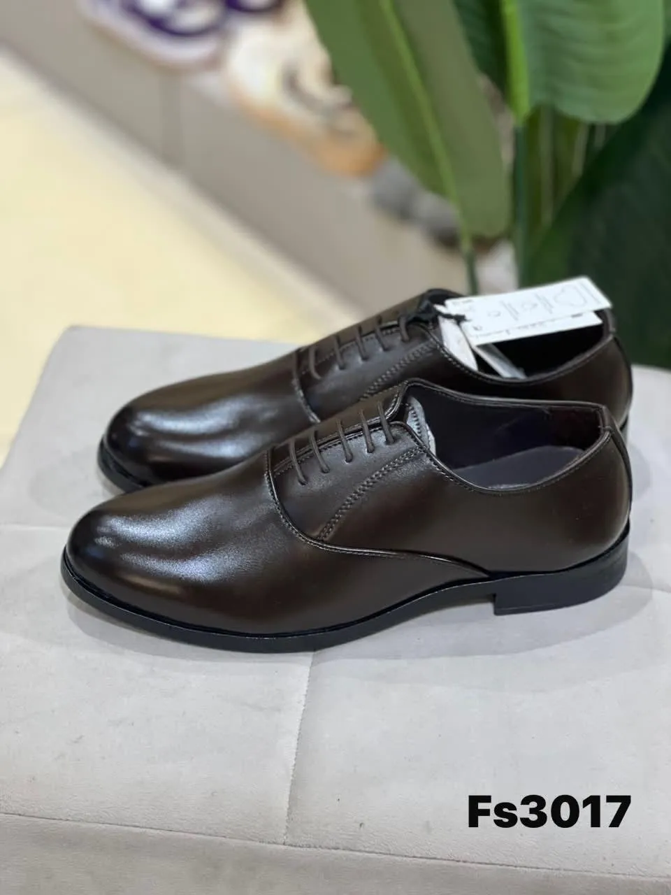 Derby in Dark Brown (FS3017)
