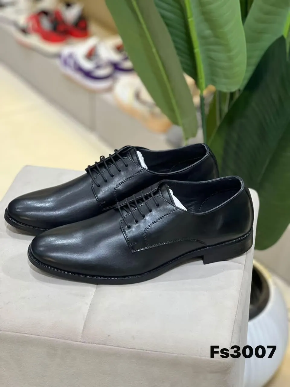Derby in Black (FS3007)