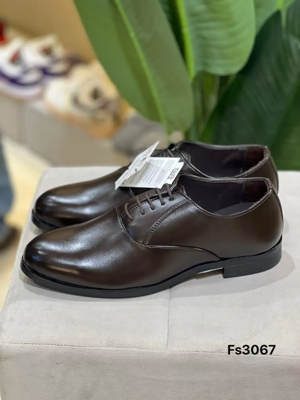 Derby in Dark Brown (FS3067)