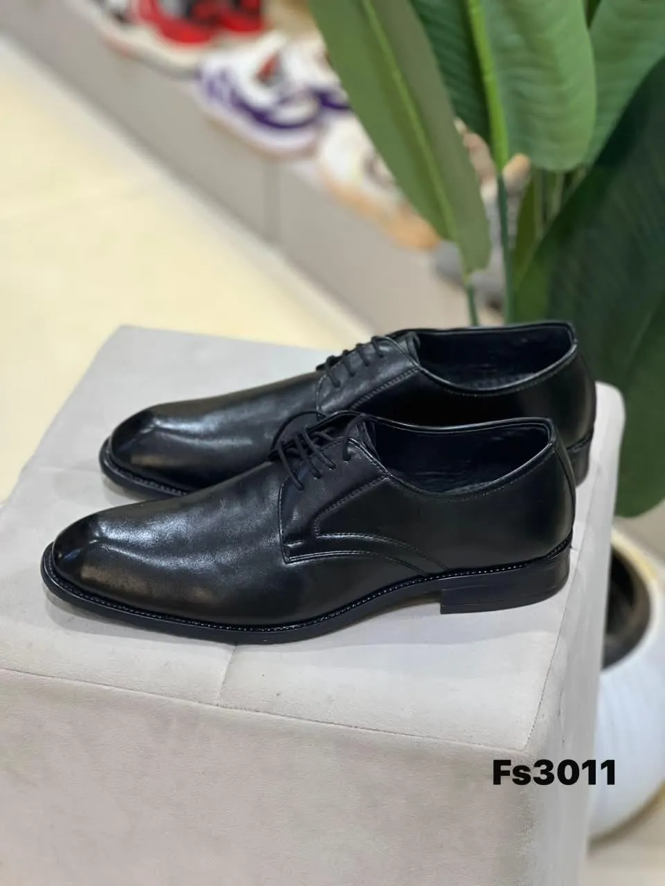 Derby in Black (FS3011)