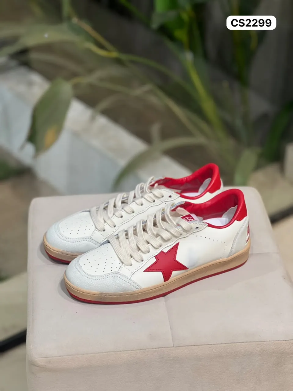 Star Low in White & Red