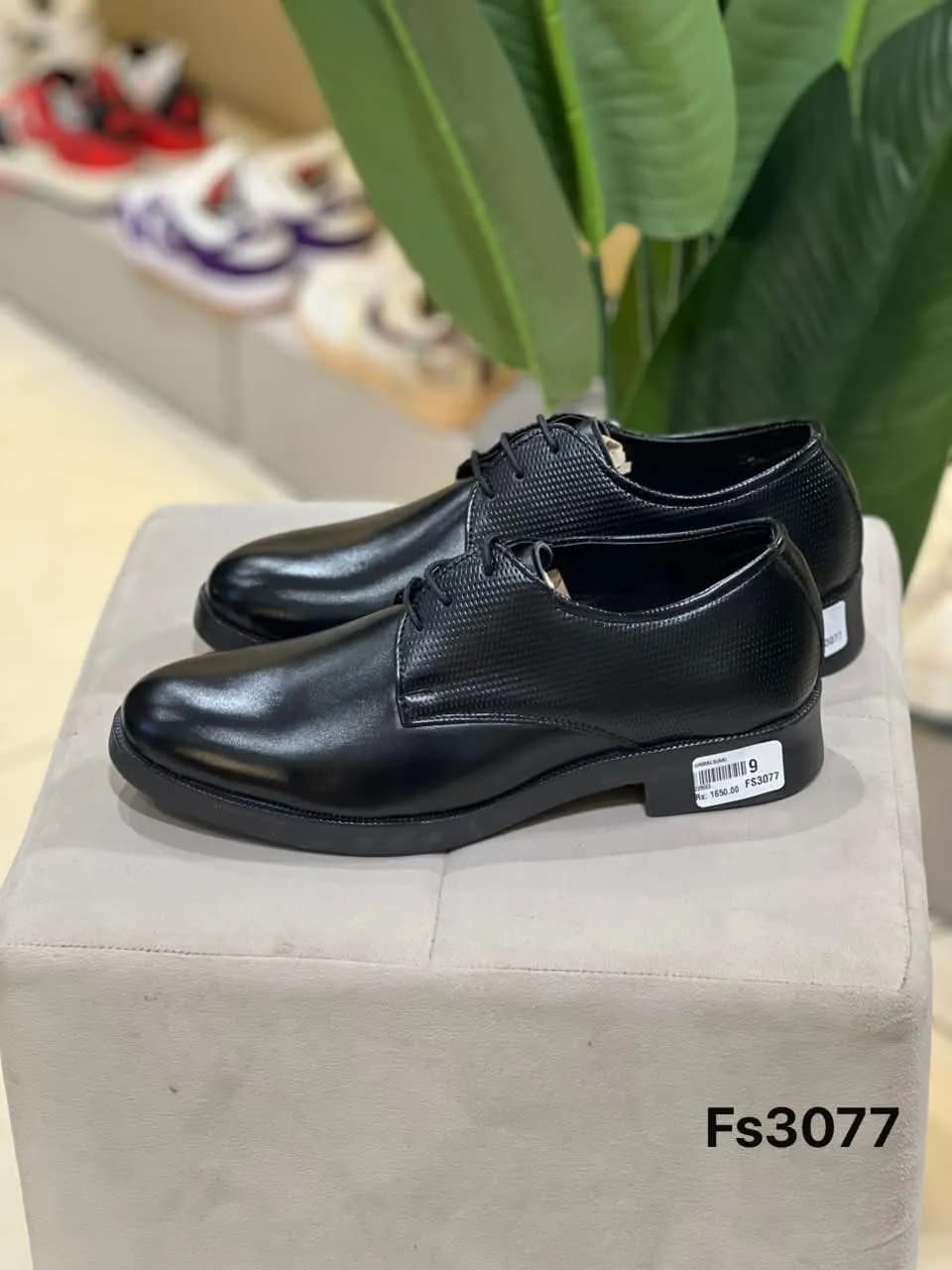 Derby in Black (FS3077)