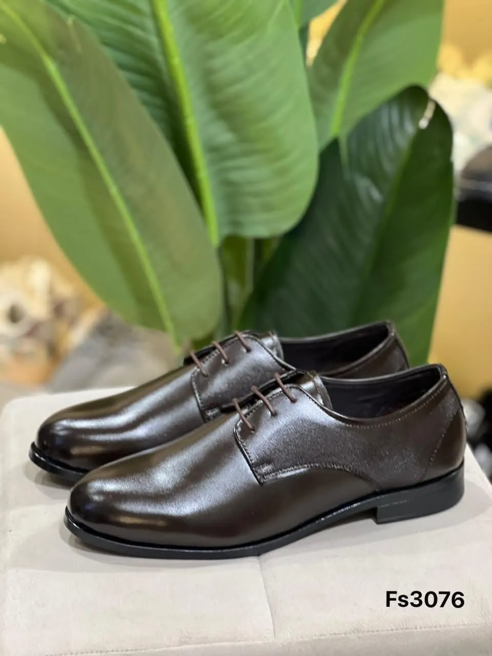 Derby in Dark Brown (FS3076)