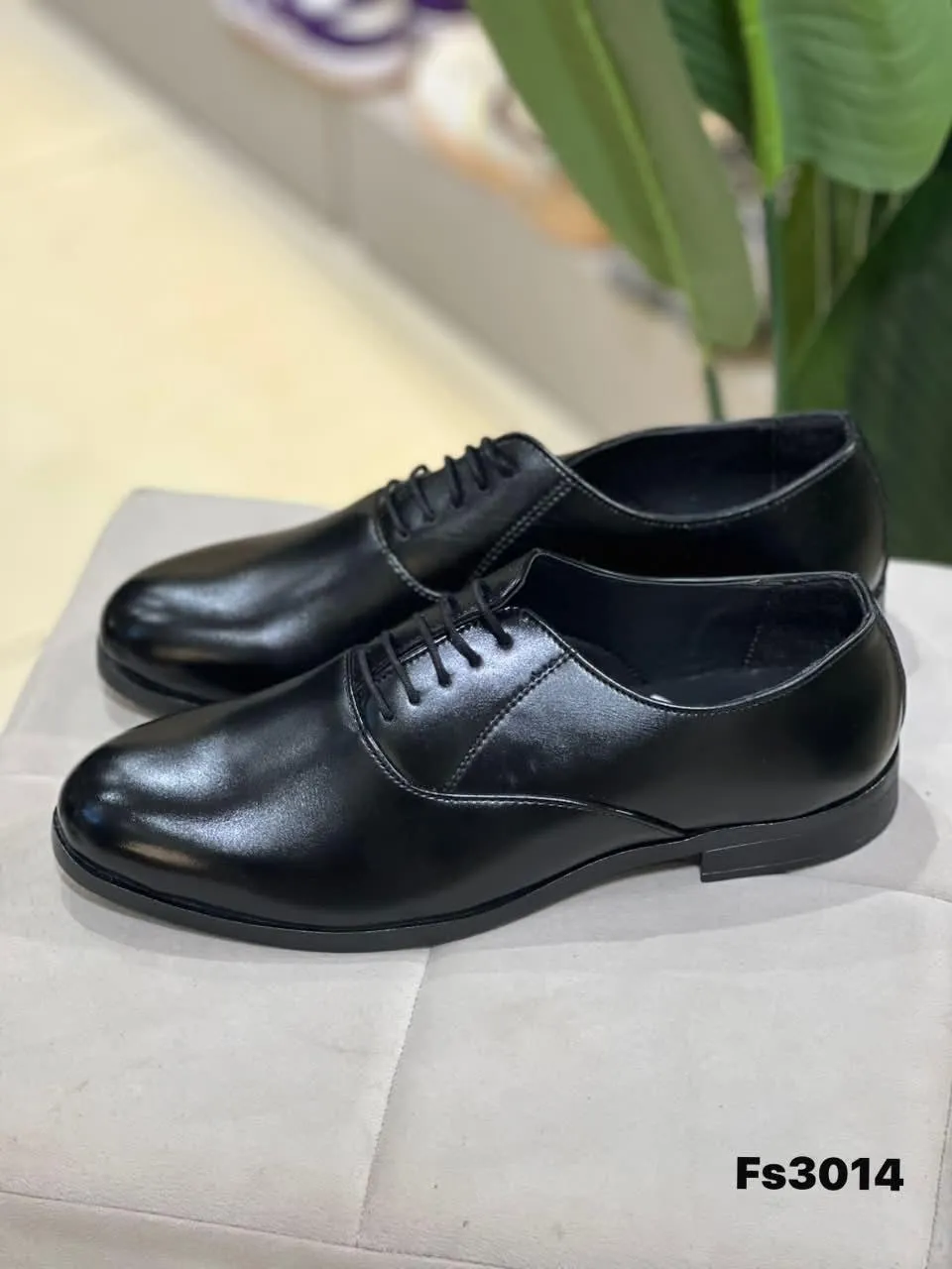 Derby in Black (FS3014)