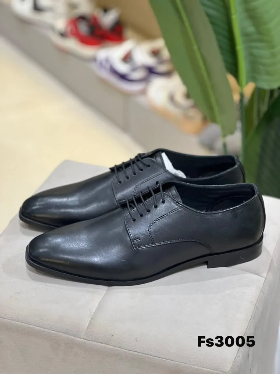 Derby in Black (FS3005)