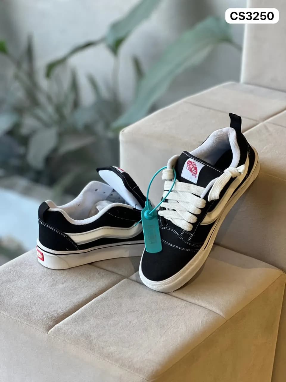 Skate Low in Black & White